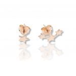 Rose gold plated silver 925º earrings with stars  (code FC006906)
